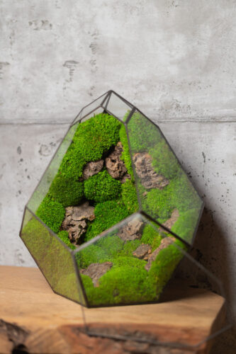 Handmade low-maintenance preserved moss terrarium