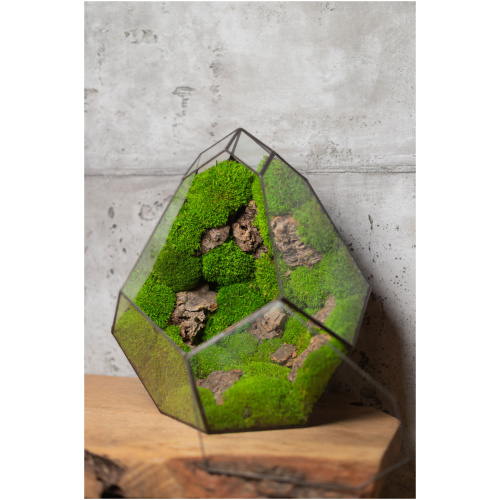 Handmade Zero maintenance moss terrarium
