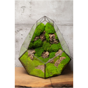 Handmade low-maintenance preserved moss terrarium