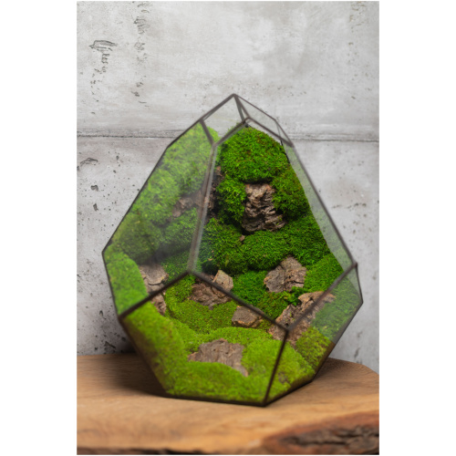 Handmade Zero maintenance moss terrarium