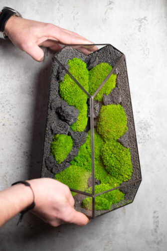 Low maintenance moss terrarium wall handmade with stabilized moss by DuosGlass
