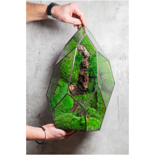 Stabilized handmade moss terrarium, zero maintenance nature-inspired home decor