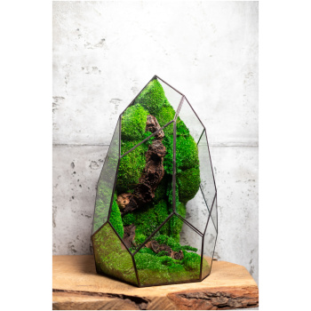 Stabilized handmade moss terrarium, zero maintenance nature-inspired home decor