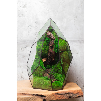 Stabilized handmade moss terrarium, zero maintenance nature-inspired home decor