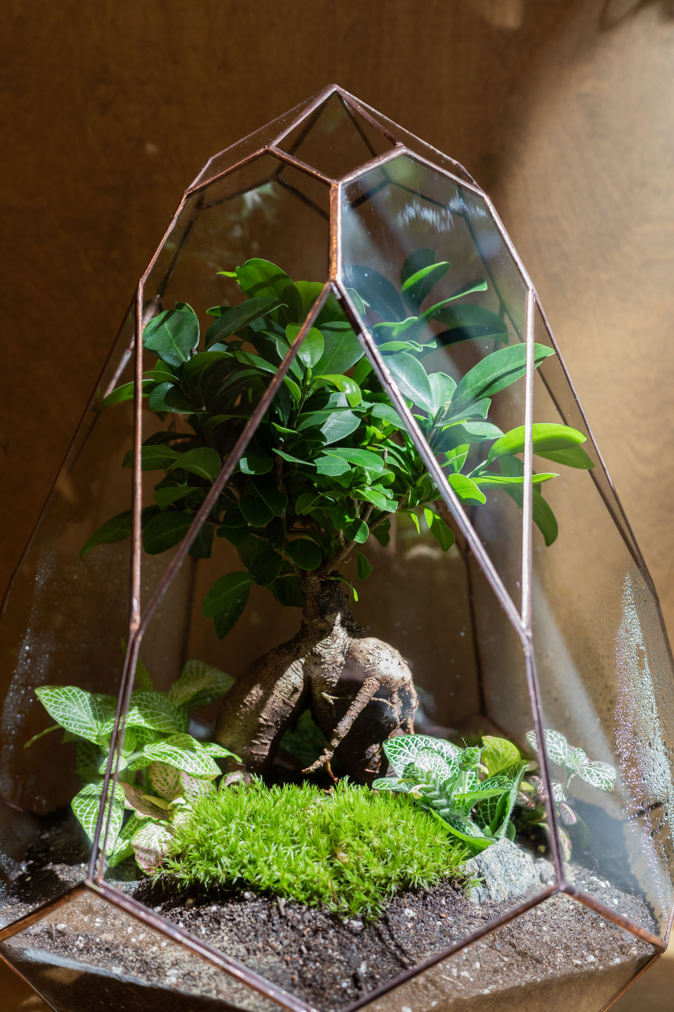 Handcrafted Tiffany glass plant terrarium care and maintenance by