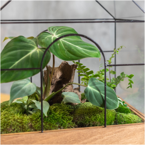 Handmade wardian case glass terrarium detail with plants