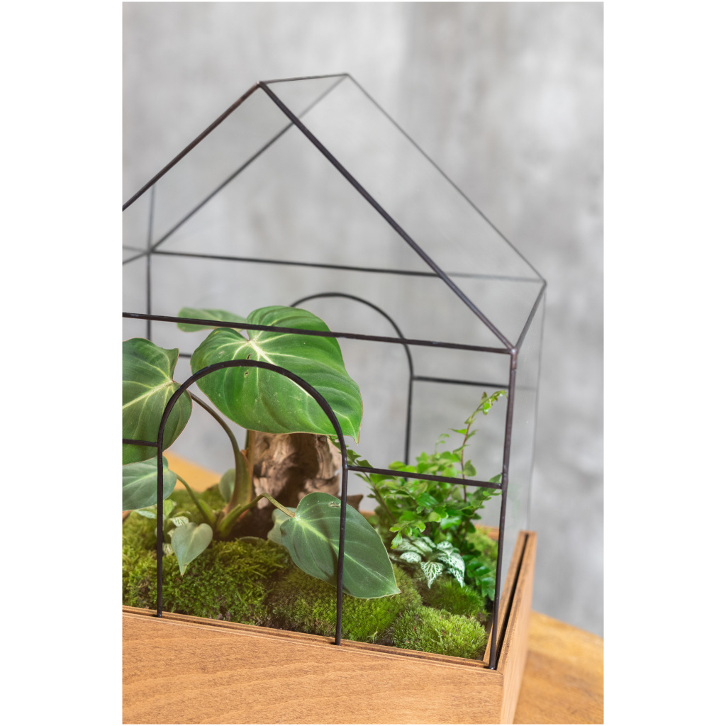 Handmade Wardian Case glass terrarium in house shape with arched opening for plants