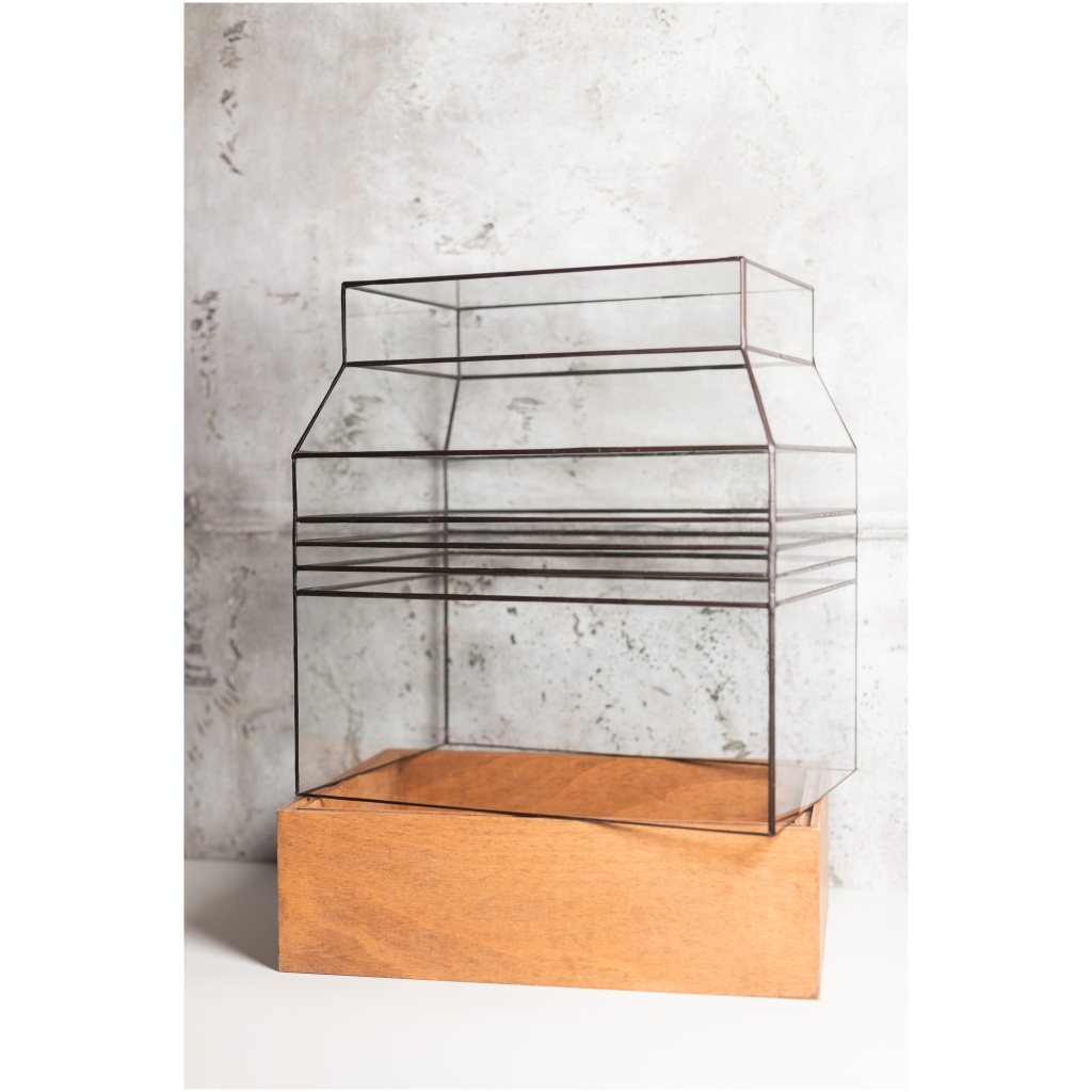Wardian Case ZIKURAT Terrarium on oak base for plants